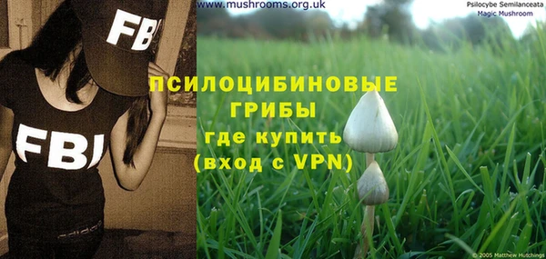 экстази Алексин