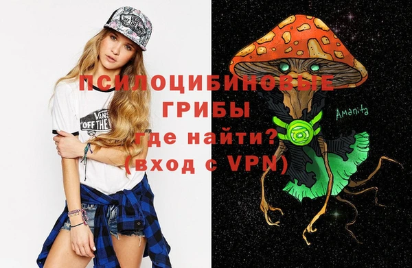 ECSTASY Алексеевка